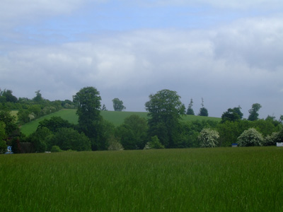 View after Upper Gatton Wood