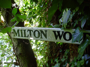 Milton Wood