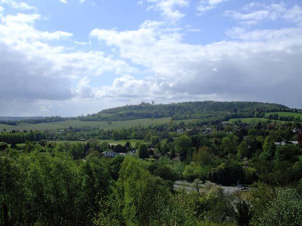 views from Box Hill, Surrey